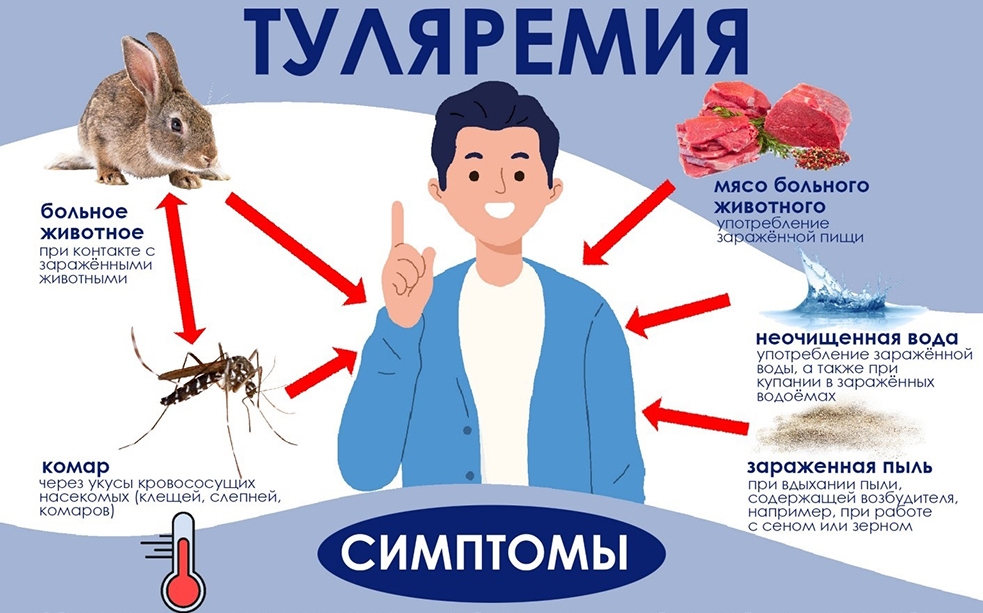 👩‍⚕️ Туляремия